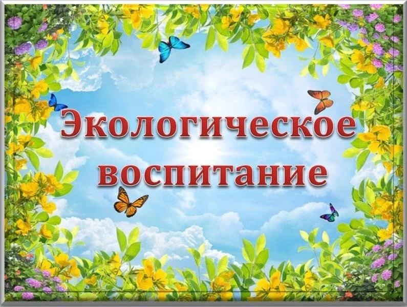16 сентября - День российского леса.🌲