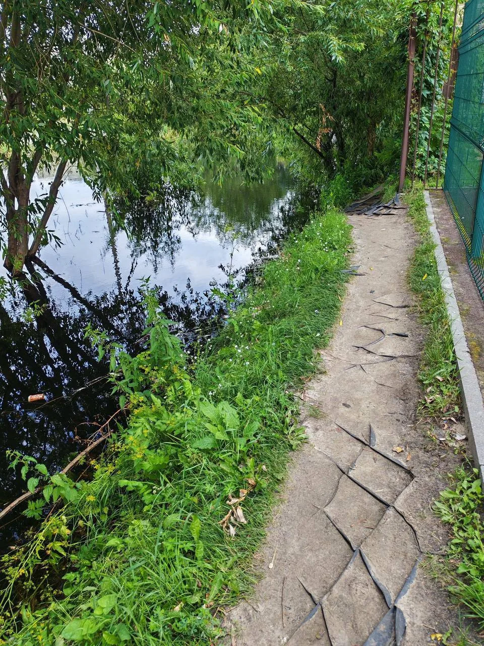 Жители домов на ул. Широтной (район д. 148 к. 3) уже 4 месяца наблюдают за окнами рукот...