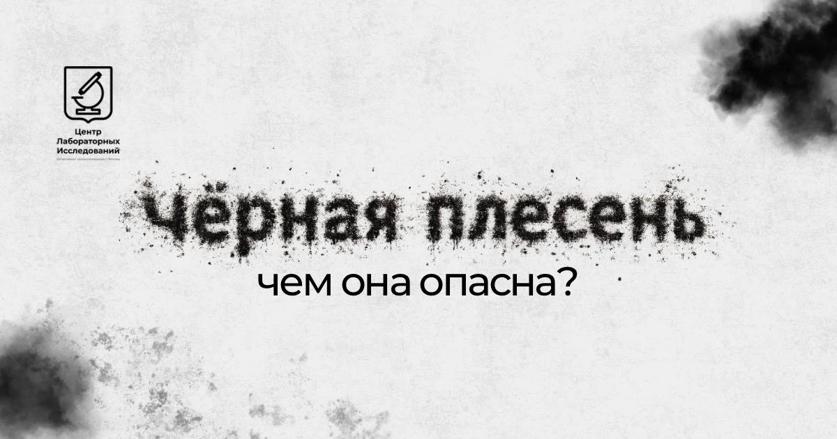 Продолжаем разговор о плесени