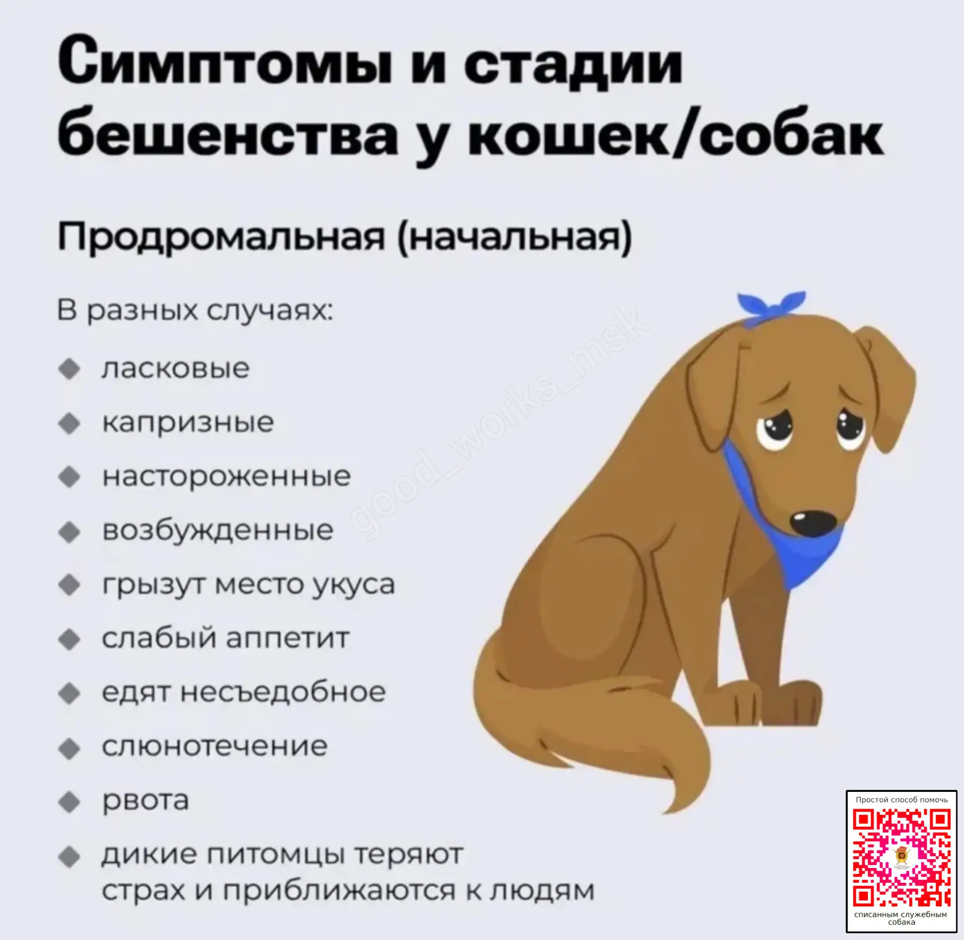 Несколько простых санитарных советов по профилактике для дома: