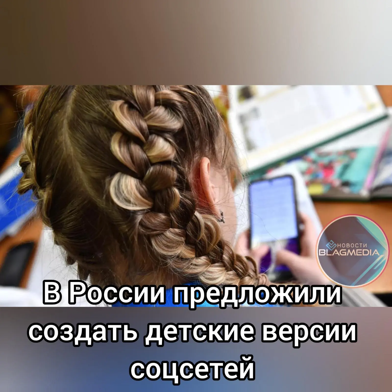 Депутат МО Санкт-Петербурга поселок Шушары, глава Ассоциации производителей детских тов...