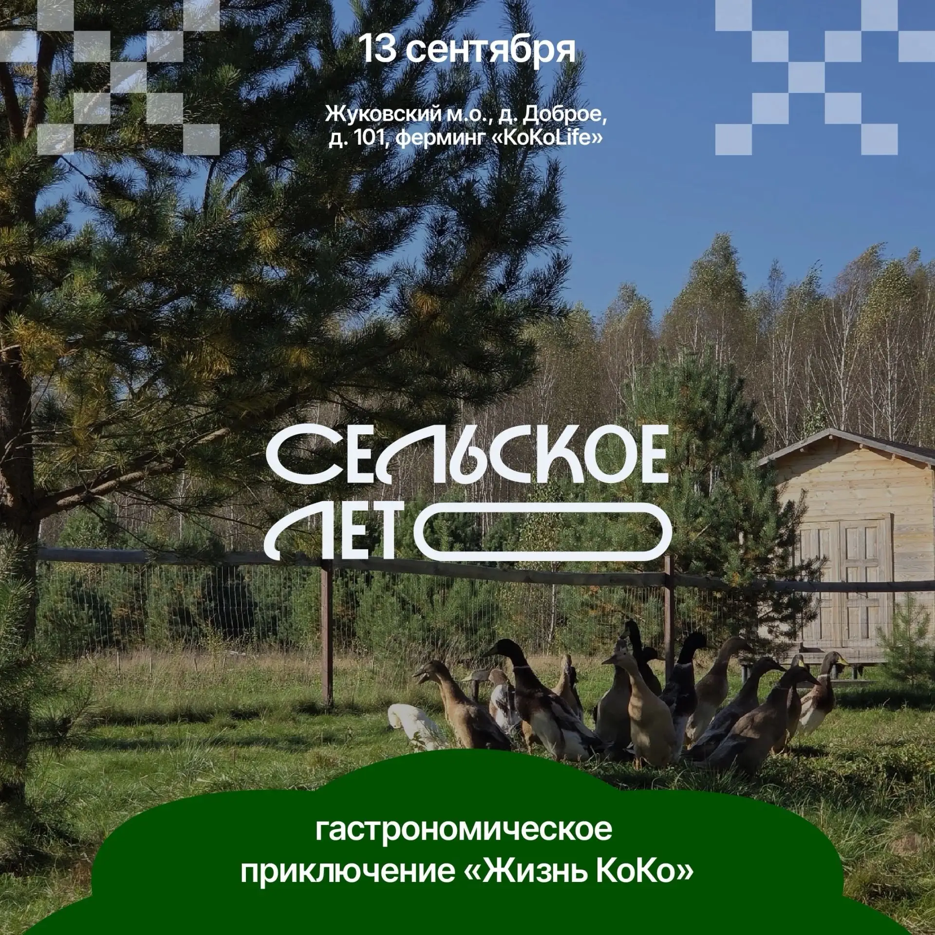 ✨ Участник проекта «Сельское лето»: познавательное и гастрономическое приключение «Жизн...