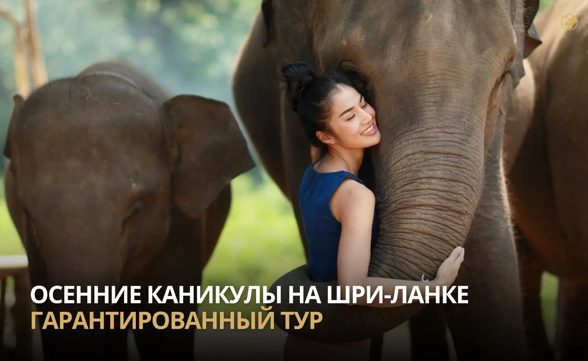 Это идеальное место для тех, кто ищет не только солнечные пляжи и теплый океан, но и яр...