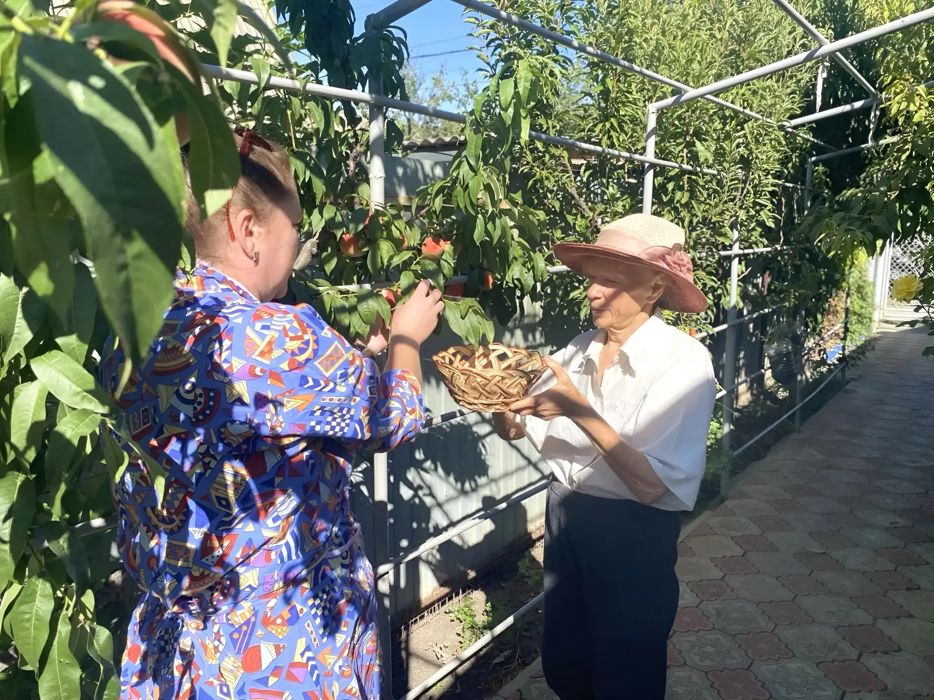 «Садовые заботы» (помощь в уходе за зелеными насаждениями и облагораживание придомовых ...
