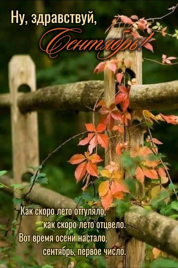 Доброй осени!..
