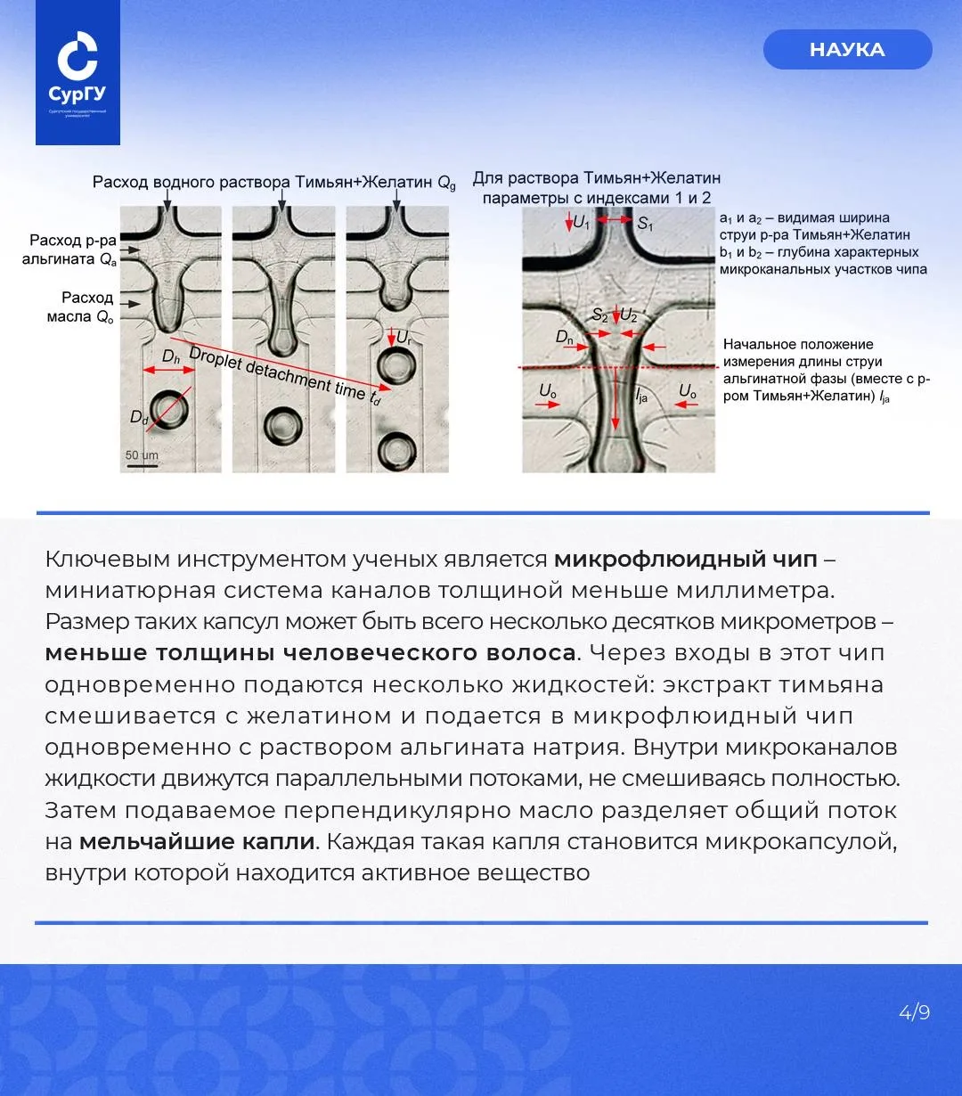 Микрокапсулы для точной медицины: ученые исследуют новые технологии доставки лекарств  Современная м