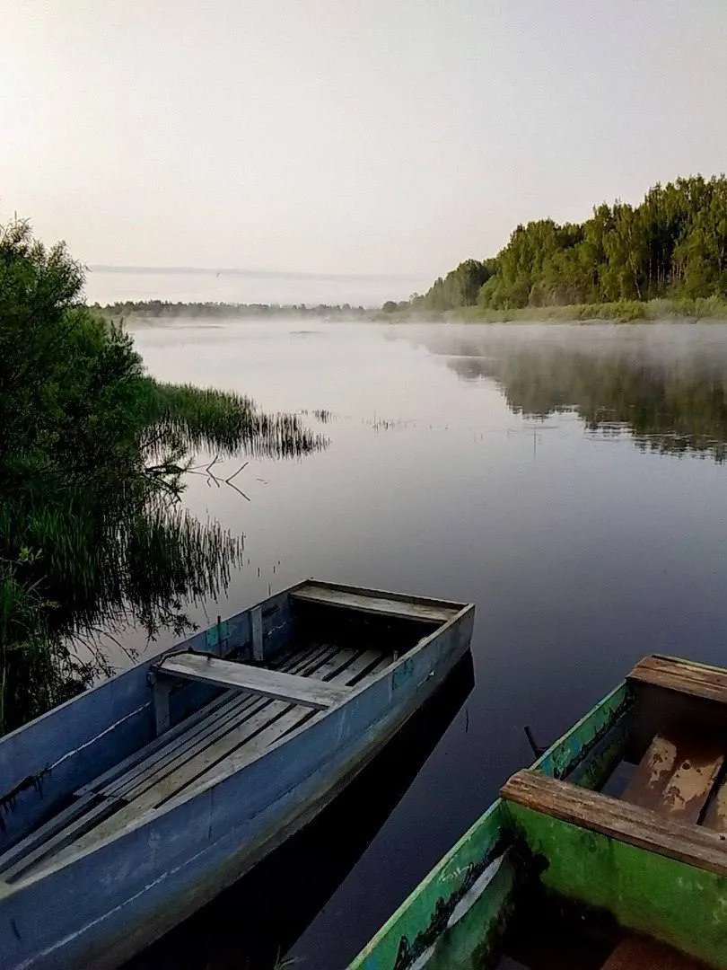 Утро на р. Кубена, что в Вологодской области…💚