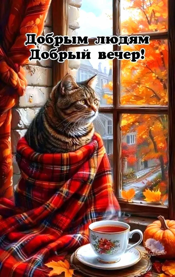 Милые открытки 😊 подписаться