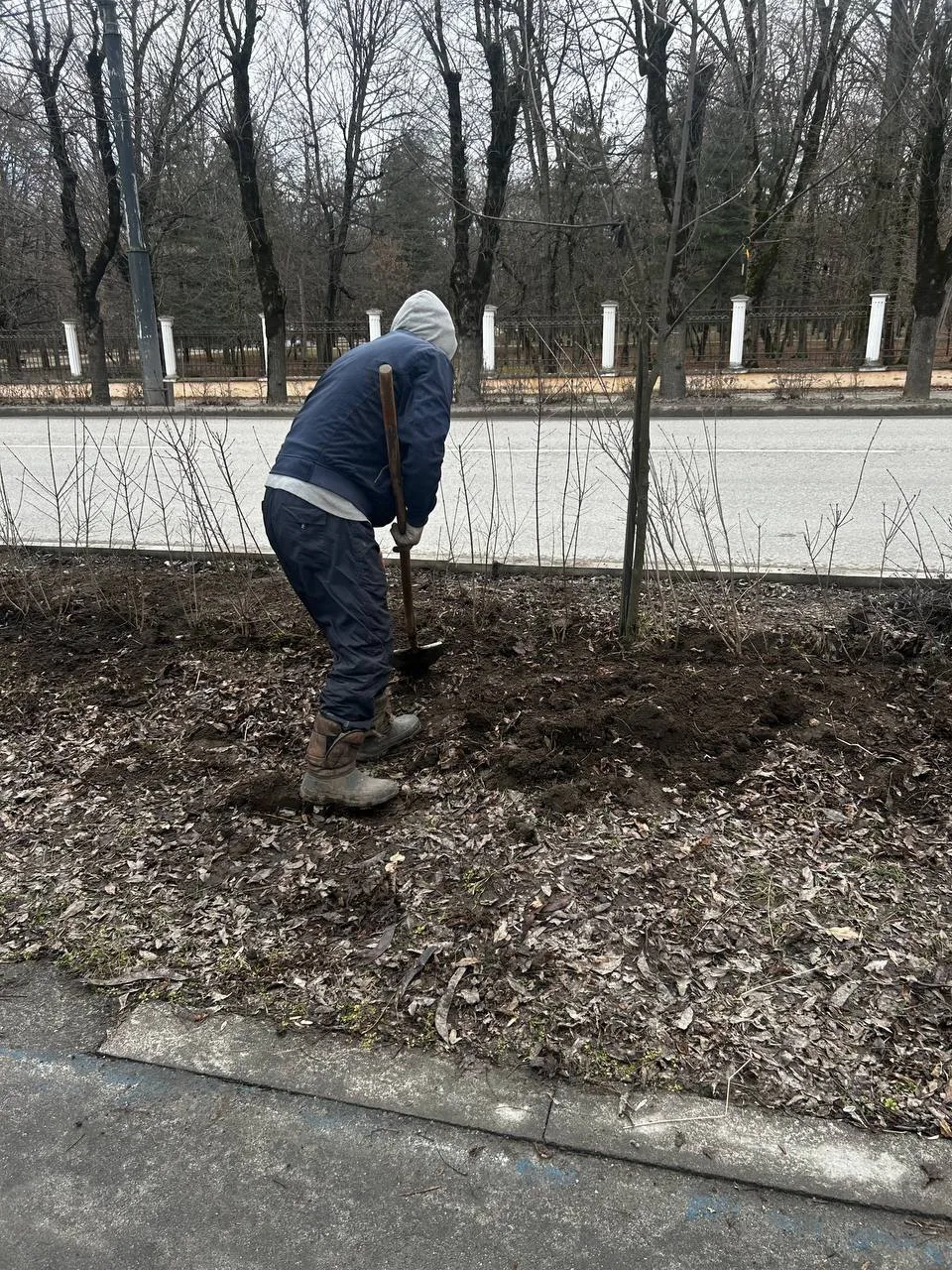 🌿 Параллельно с уборкой города продолжаем работы по озеленению