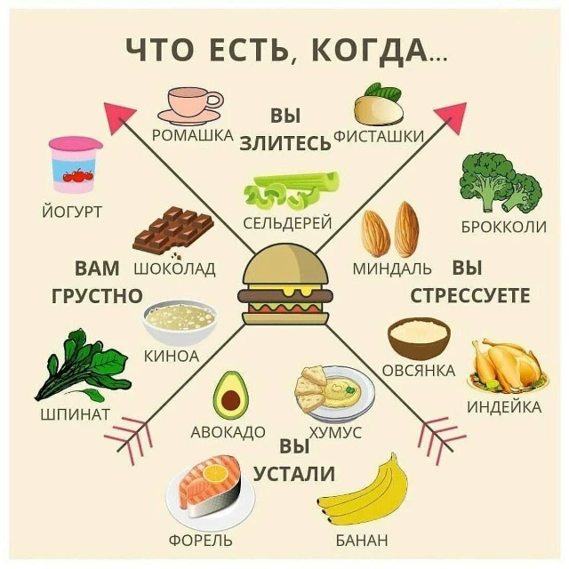 www.acmespb.ru
