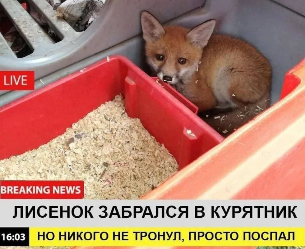 😴пора