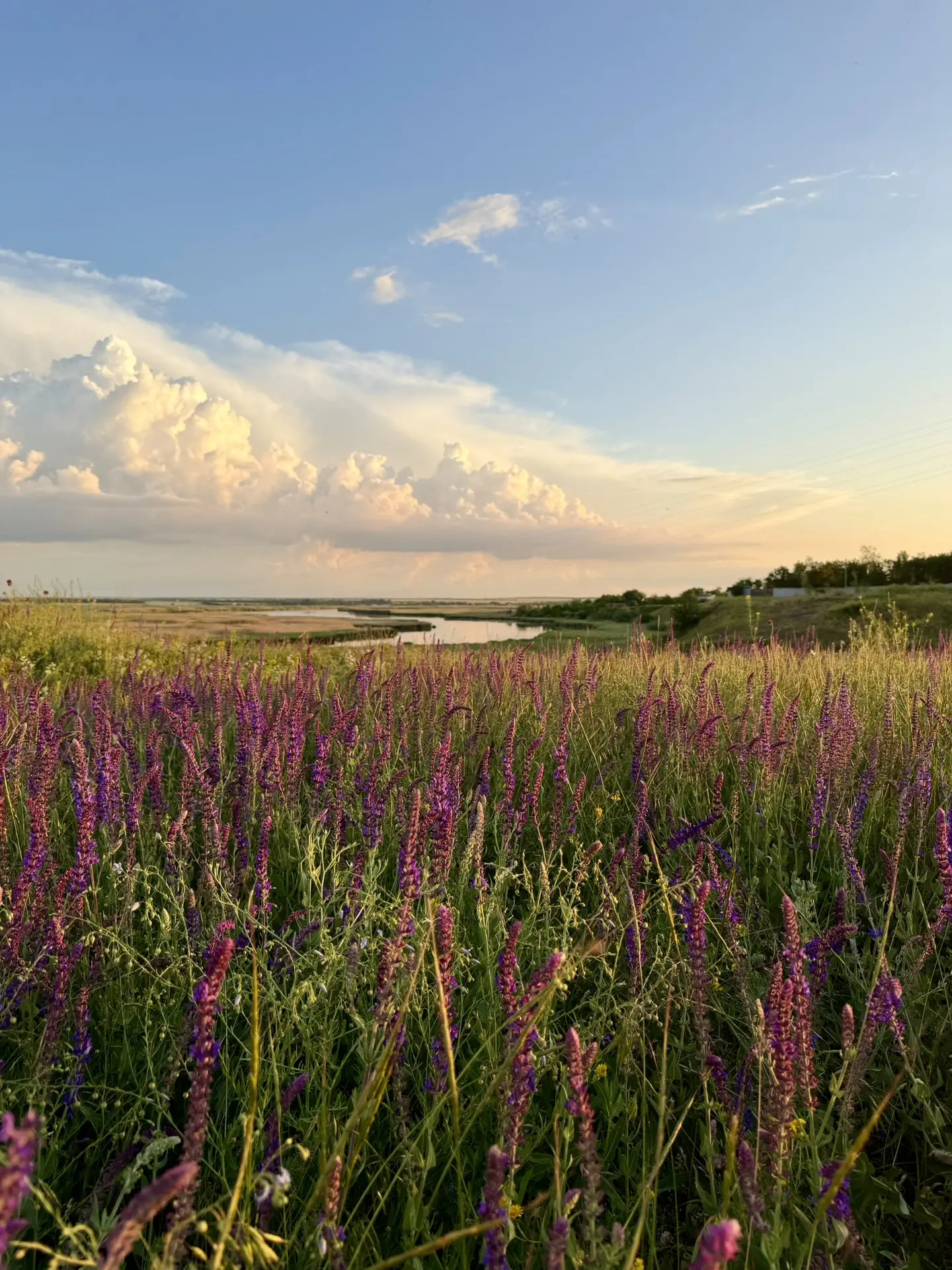 Всем хороших выходных, Азовский район🌾