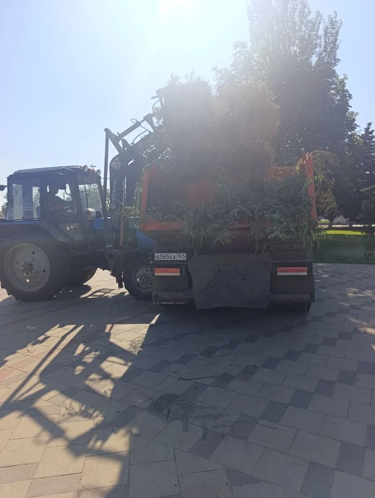 Спил и вывоз веток