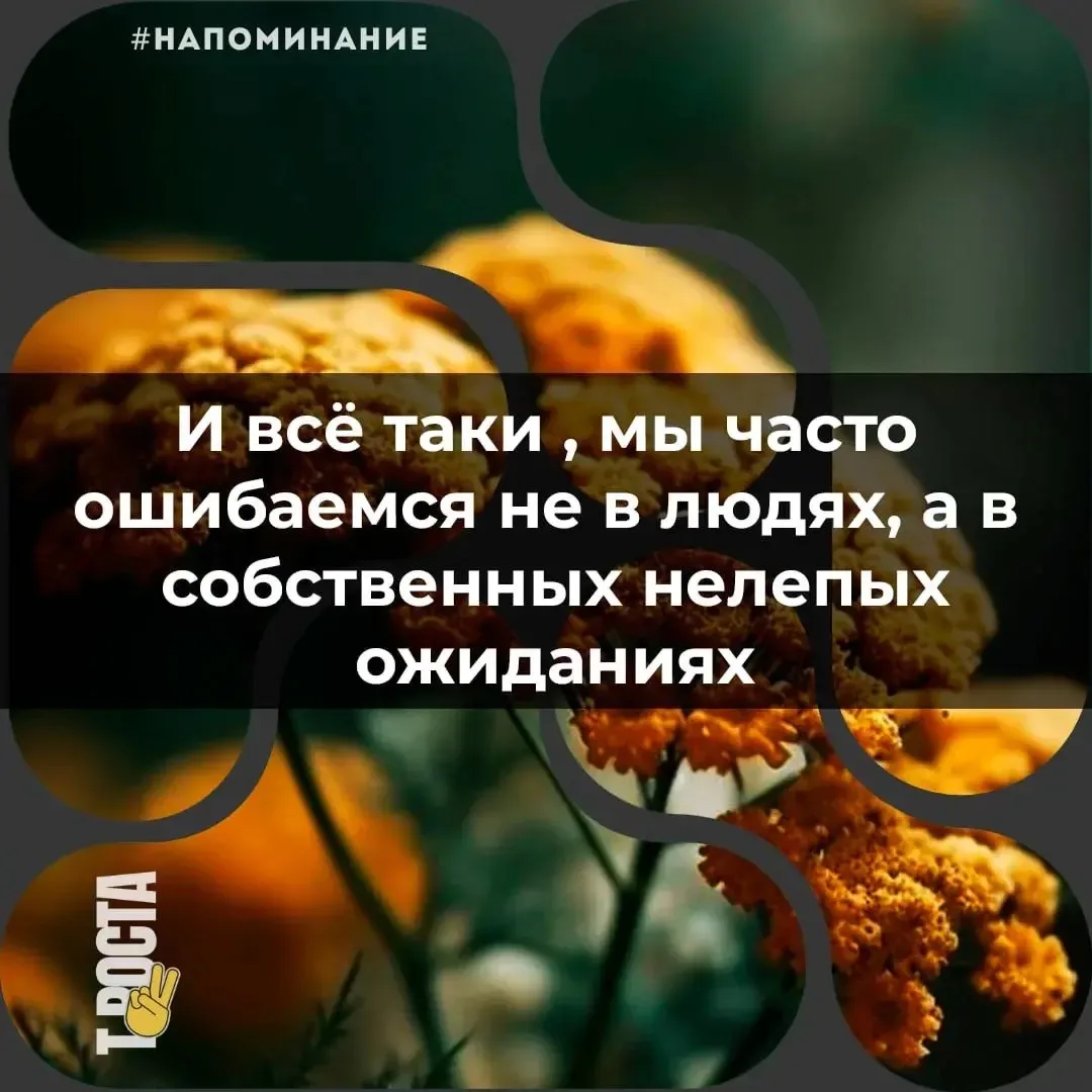 Точка роста