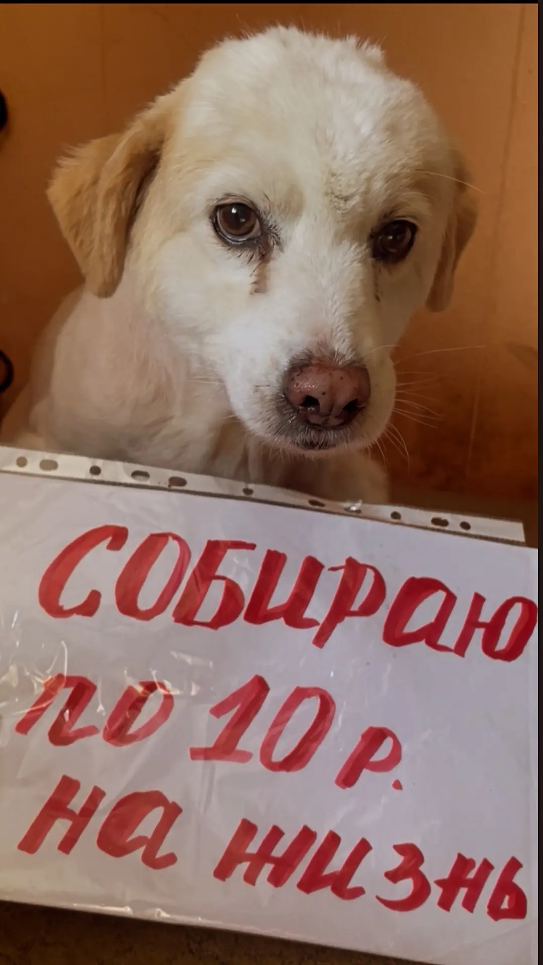 БОЛЬНО ОТ ОСОЗНАНИЯ…😭