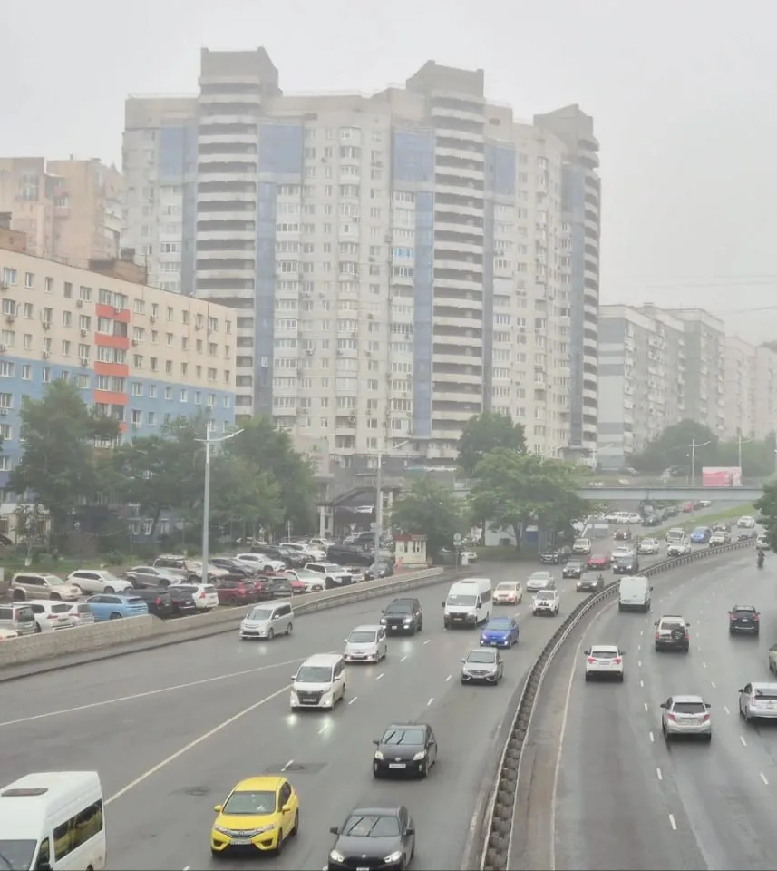 Во Владивостоке предлагают размещать начальные школы в жилых домах

Власти Владивостока предлагают и