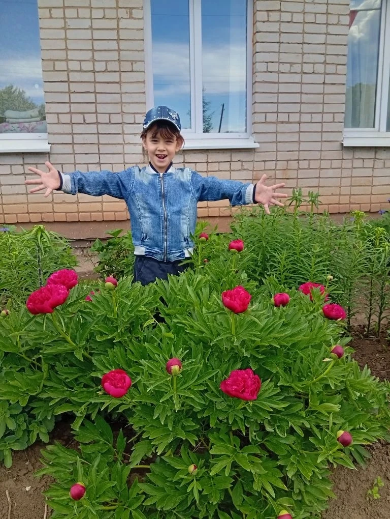 #нашиклумбы