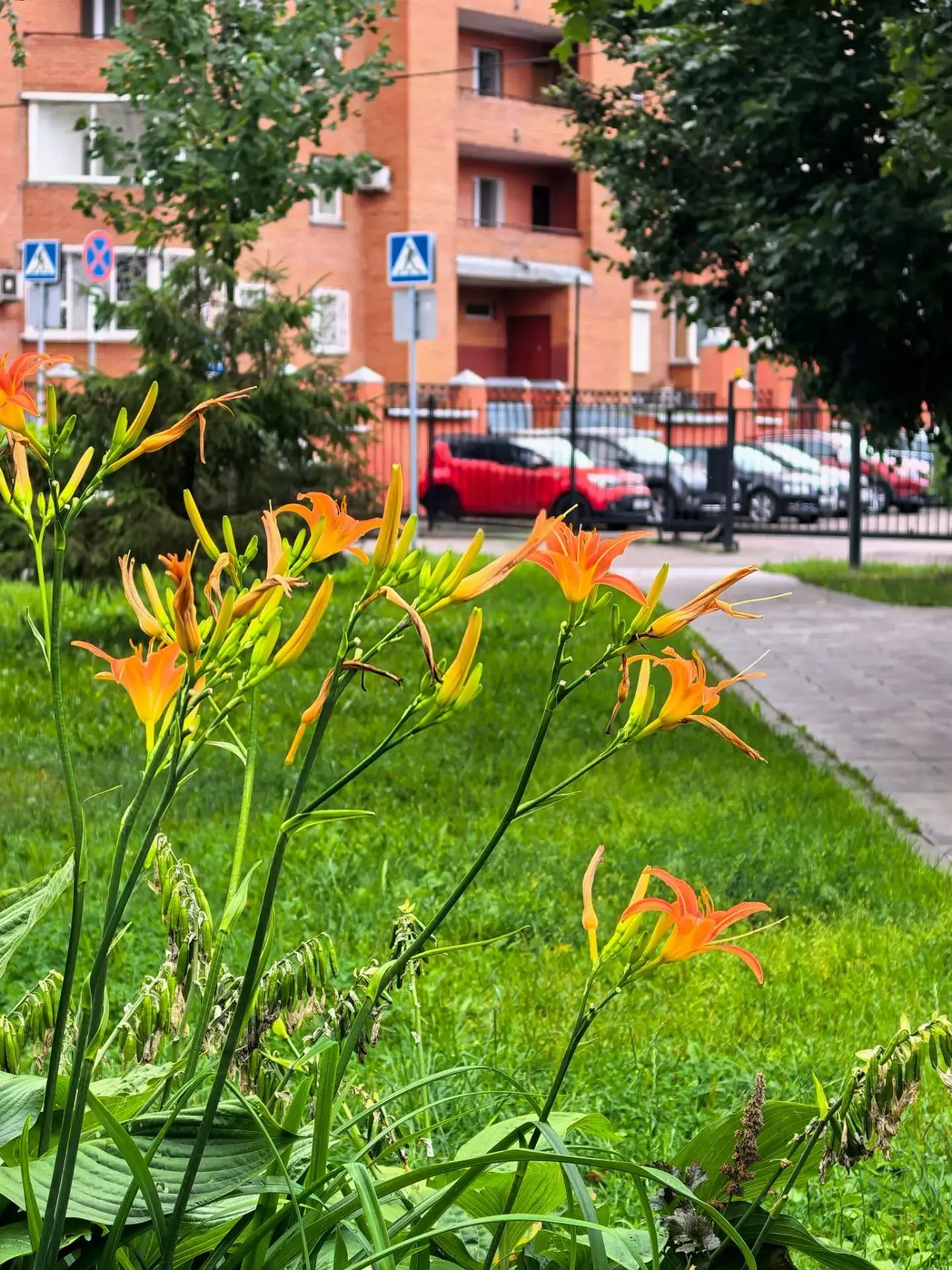 Хороших выходных, #прекраснаямарьинароща❤️