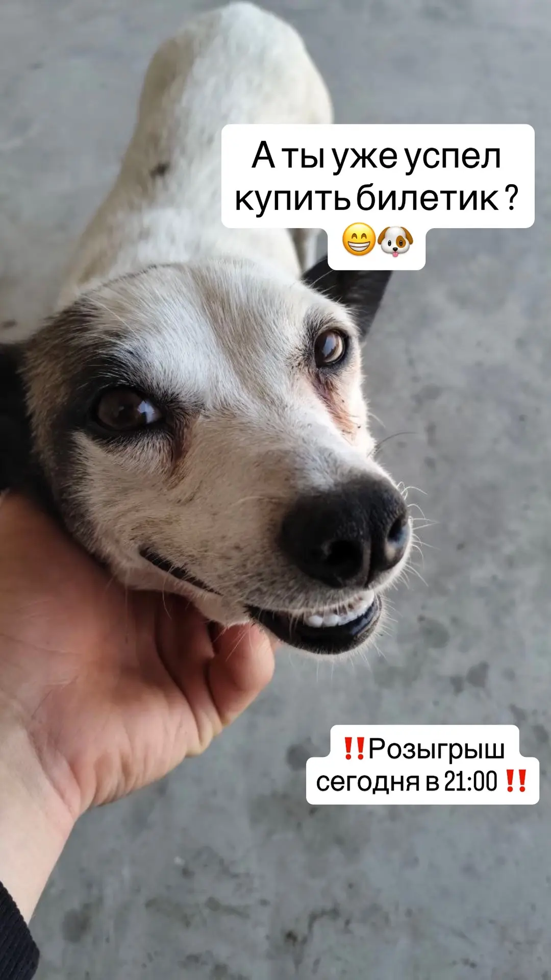 Сегодня в 21 :00 будет подведение итогов нашей лотереи выходного дня 🇷🇺