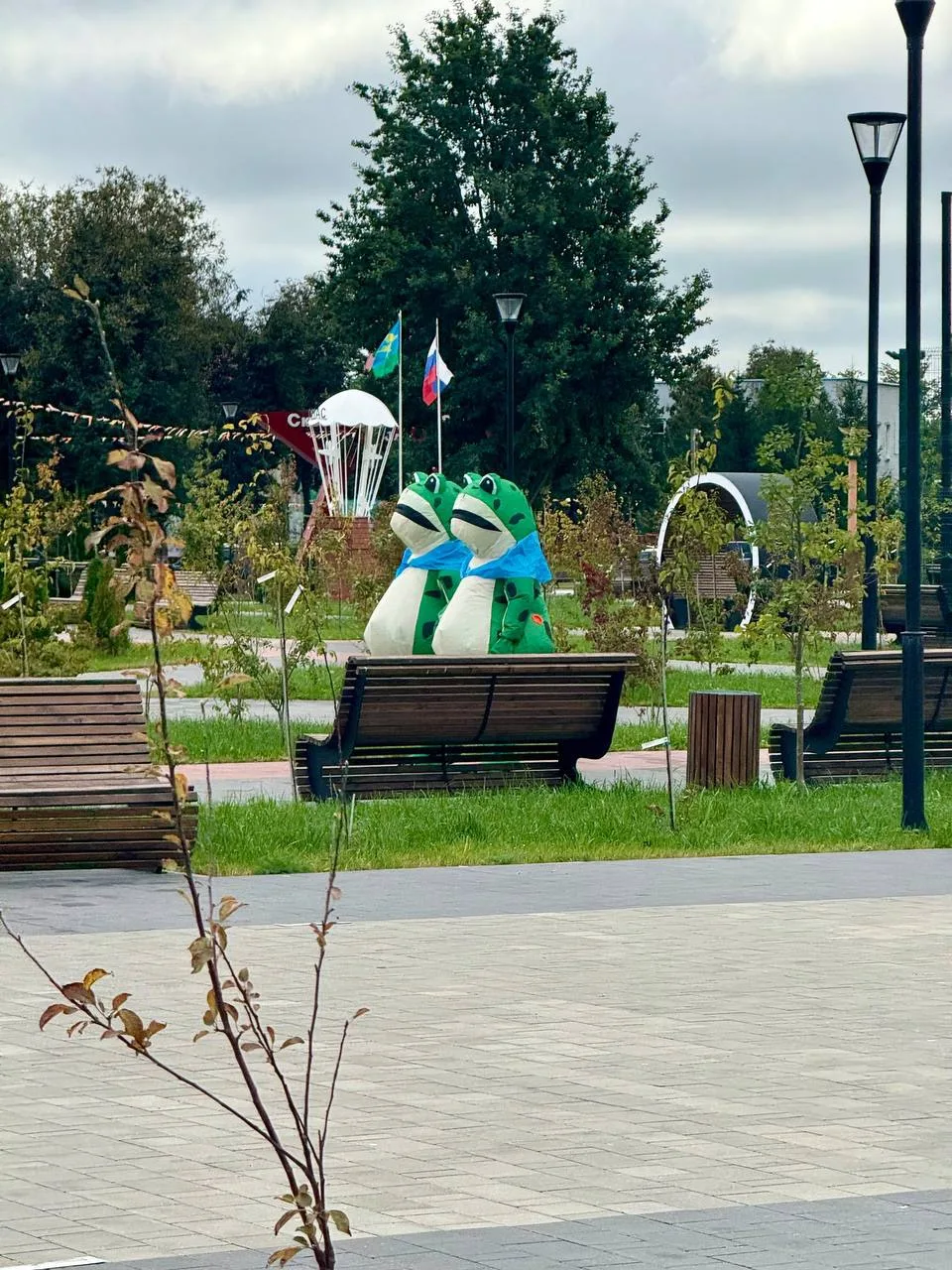 У нас все нормально?🐸