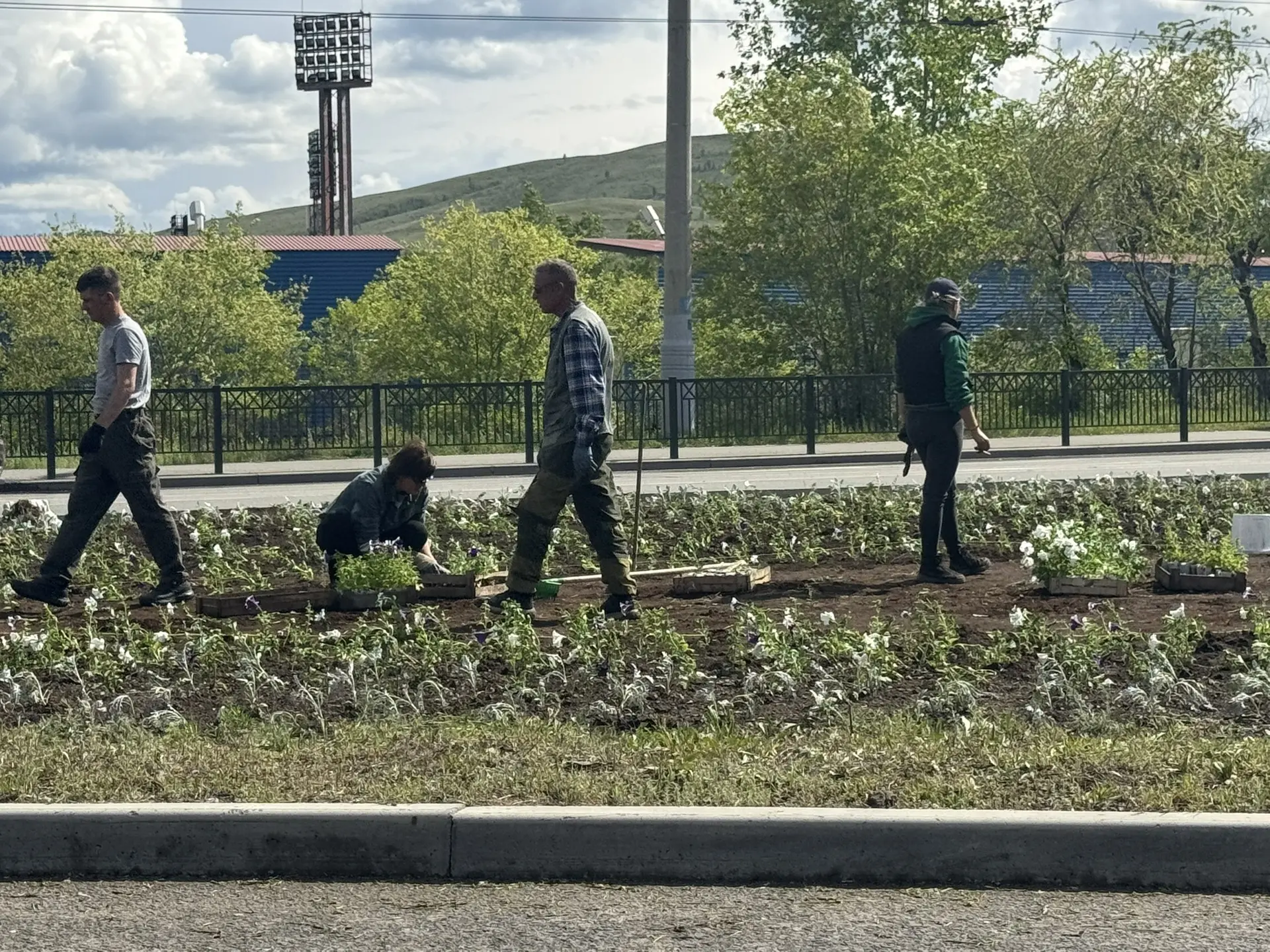 Наводят красоту у Мегаполис-спорт в Чите. Ждем бравые оазисы, если, конечно, тепло настанет)
