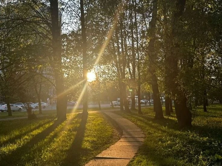 🌤️ Доброе утро!