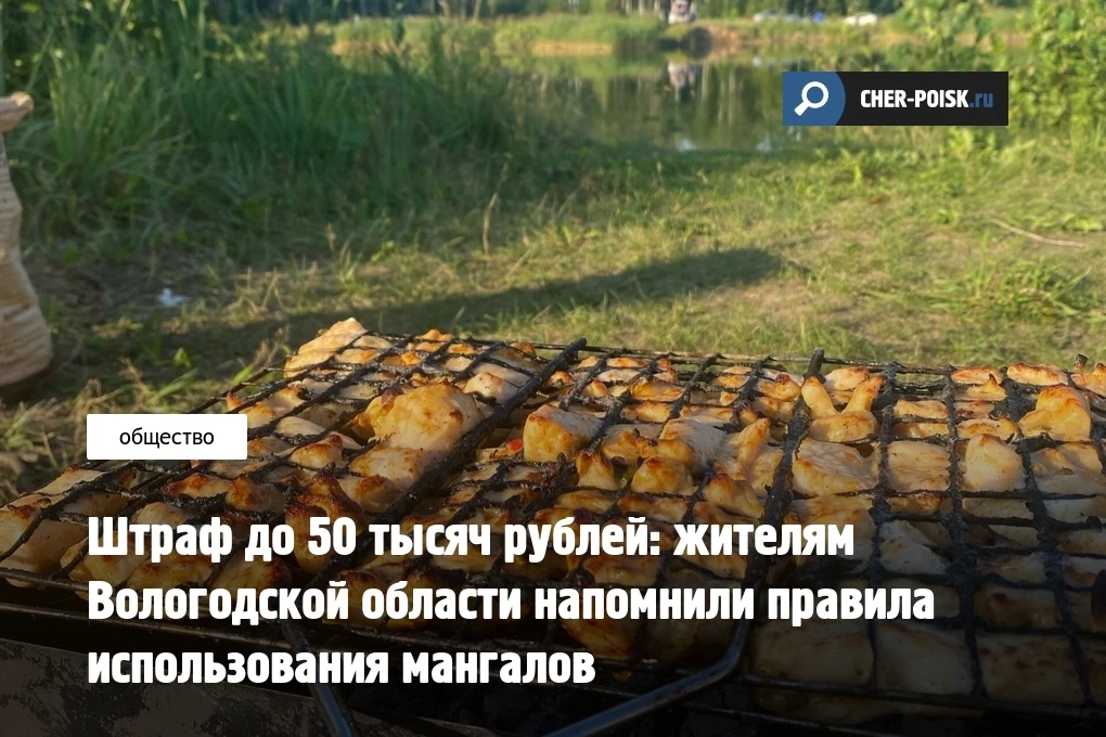 Шашлычный сезон в Вологодской области официально продолжается без дополнительных ограничений. С 12 м