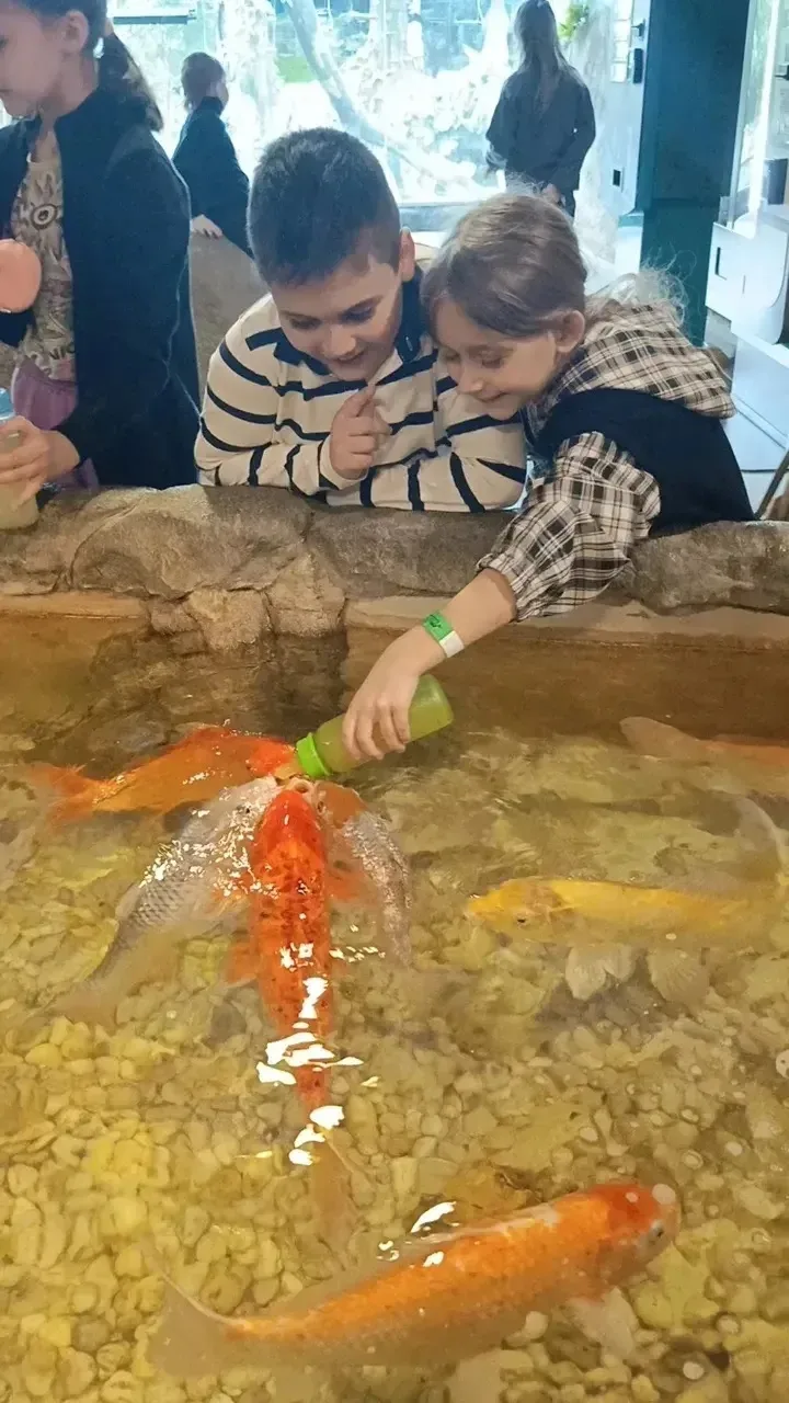 🌊 Настоящее подводное приключение   Вчера учащиеся 2 «Б» класса отправились в увлекательное путешест