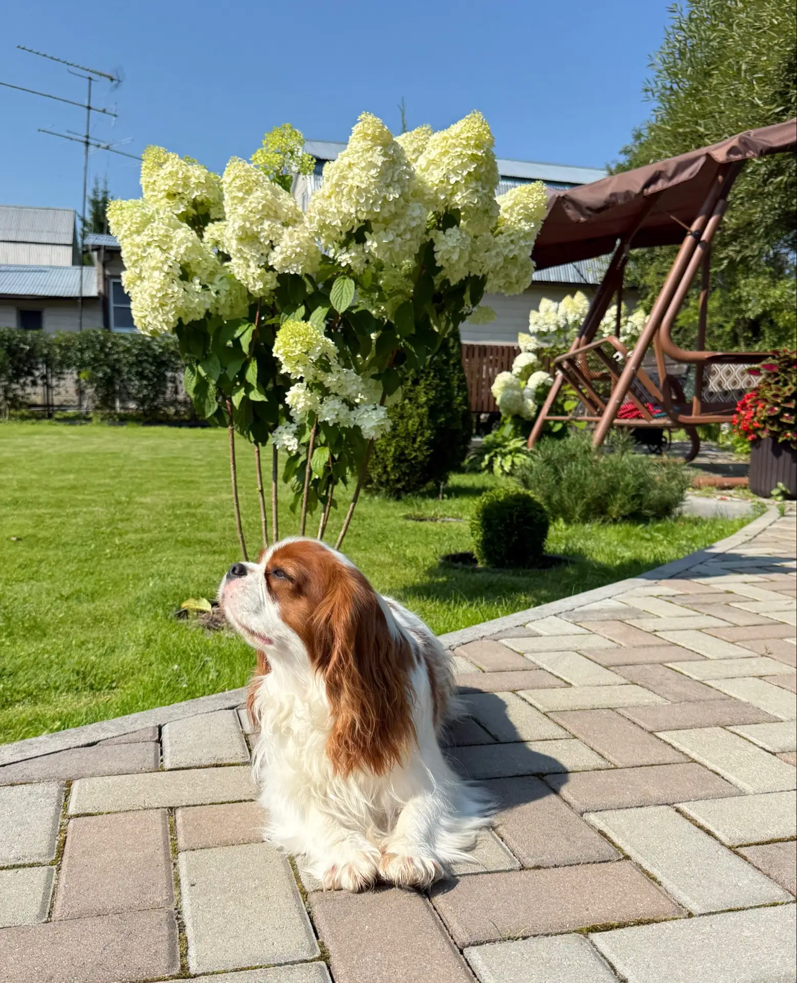Дождались наконец-то солнышко ☀️