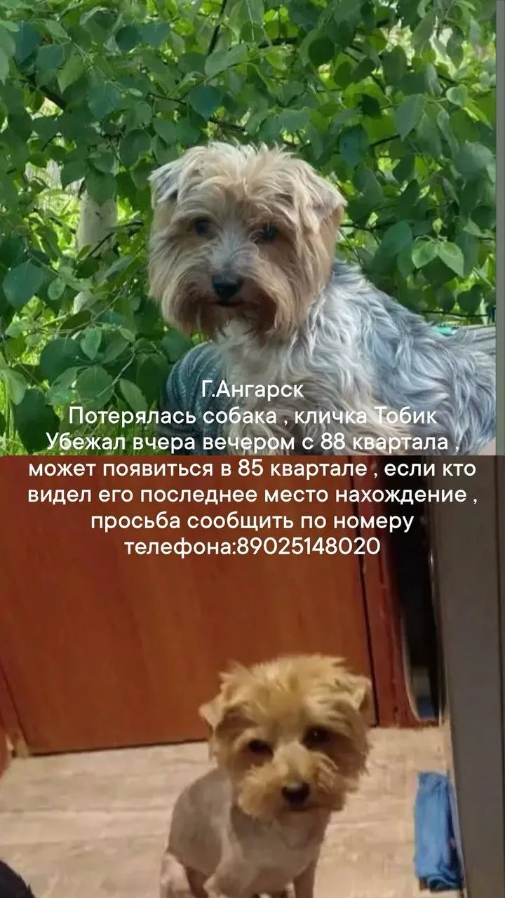 Добрый день, можно разместить объявление ?