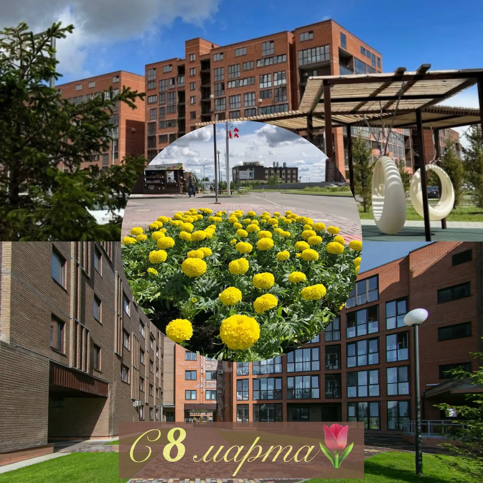 С 8 Марта, дорогие жительницы!🌸