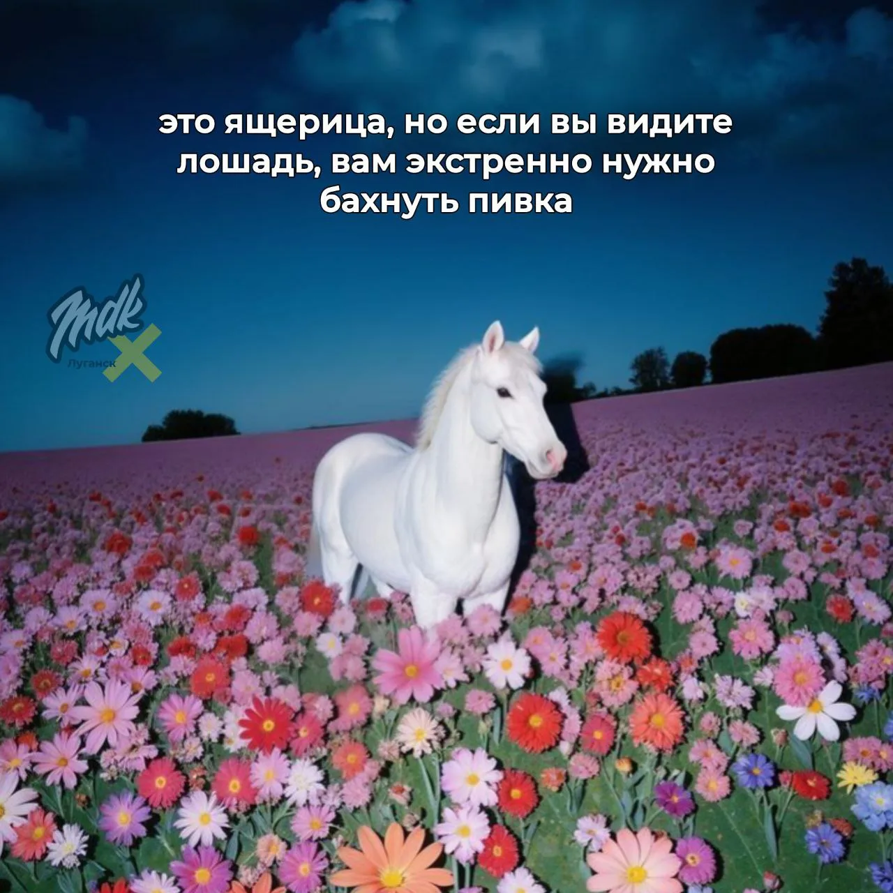 В сети нашли самый точный тест для определения уровня усталости