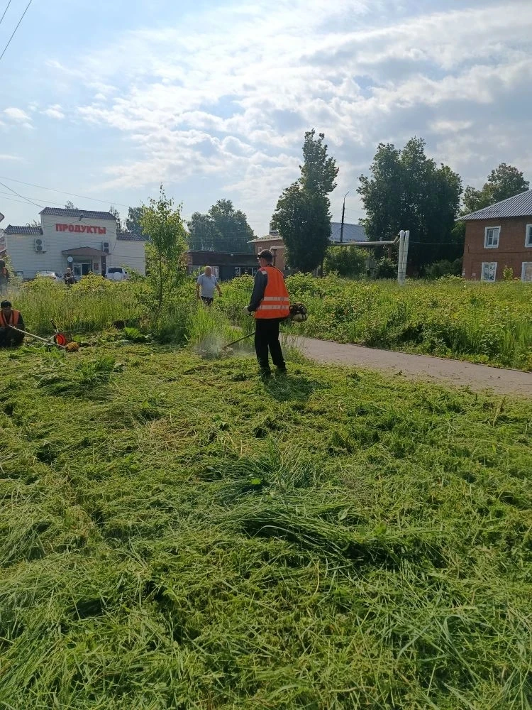 Выполнение работ по окосу территорий города, скверов, сбору смета вдоль дорог