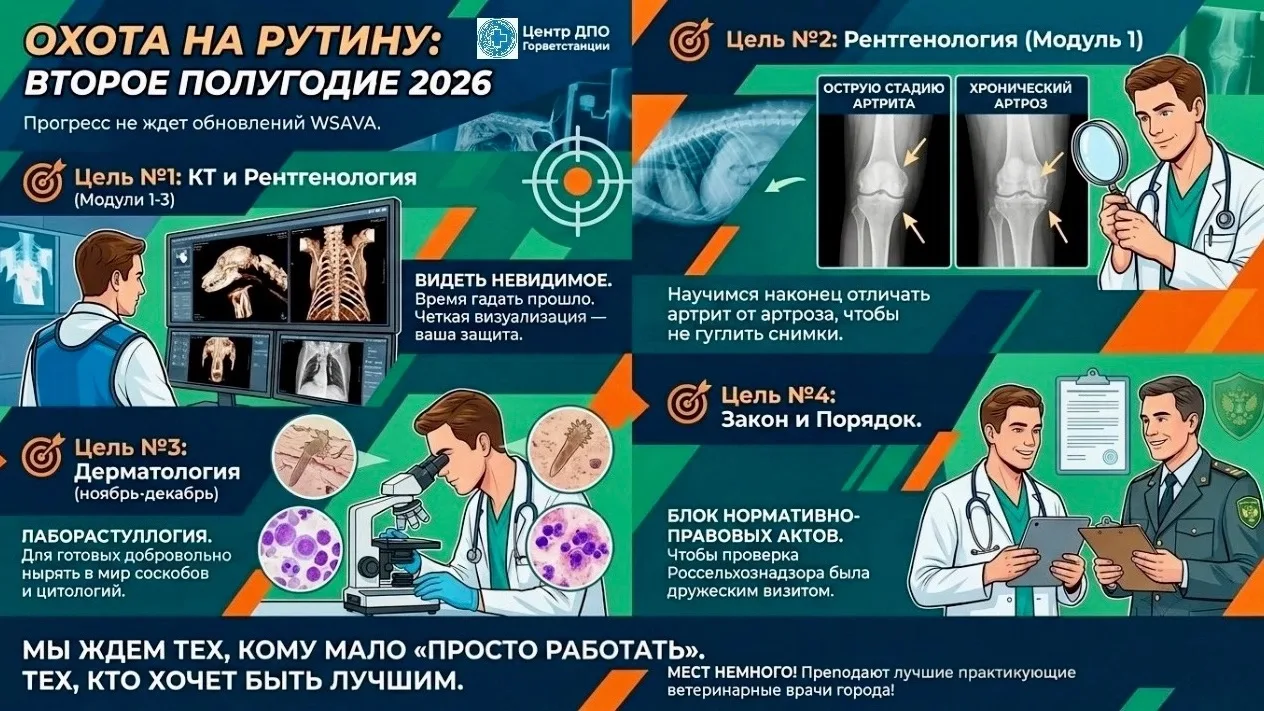 🎓 Профессия меняется быстрее, чем обновляются протоколы WSAVA. То, что спасало пациента вчера, сего