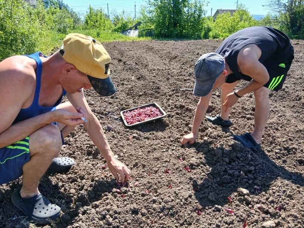 Сегодня наши ребята посадили лук 🧅, морковь 🥕 и свёклу 🍠. Сейчас эти грядки кажутся просто землёй