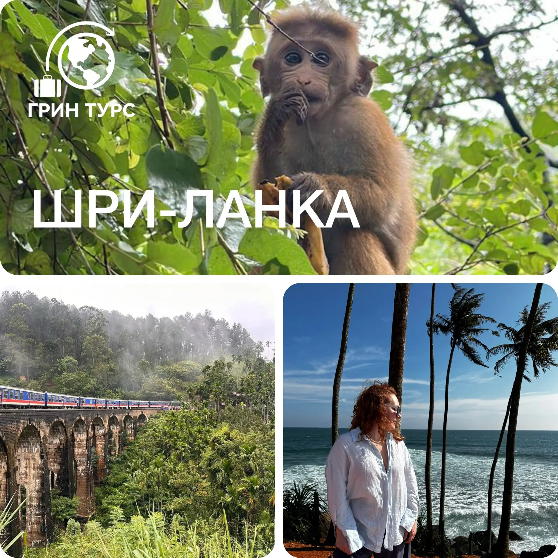 ⛵ ШРИ-ЛАНКА: ВЫСОКИЙ СЕЗОН НАЧИНАЕТСЯ — ВЫБИРАЕМ КУРОРТ! ✨