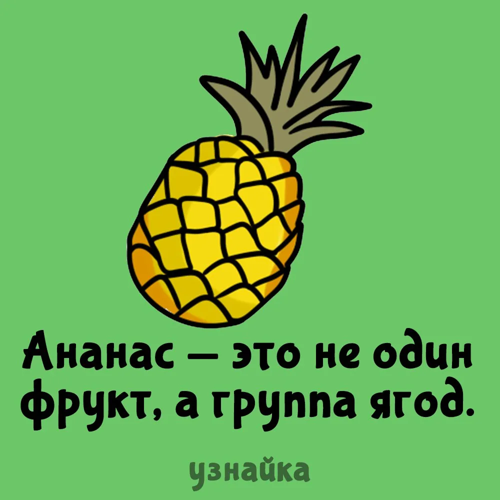 Неожиданно🍍
