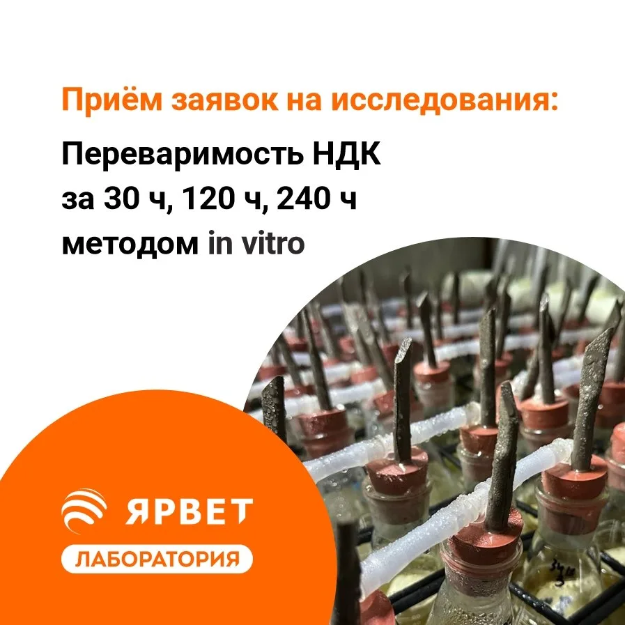 Ищем тех, кто заинтересован в сравнительном исследовании переваримости клетчатки (НДК) 🌱

В нашей л