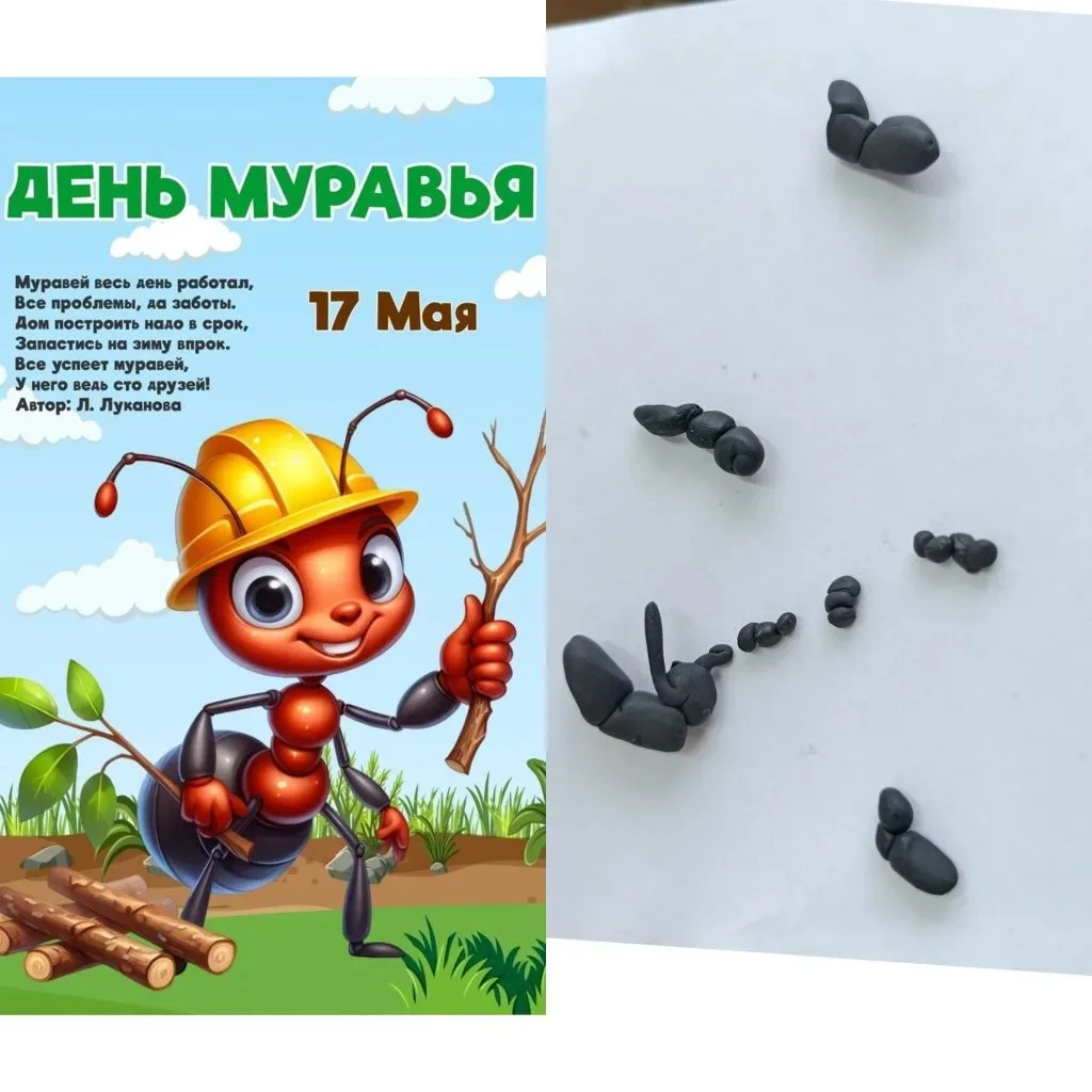 17 мая - День муравья!