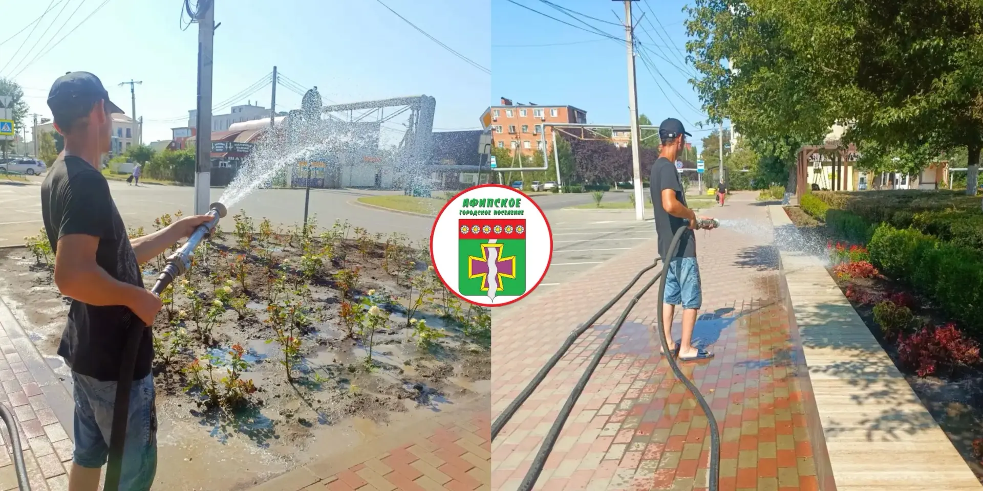 В целях обеспечения сохранности и поддержания жизнеспособности зеленых насаждений на территории Афип