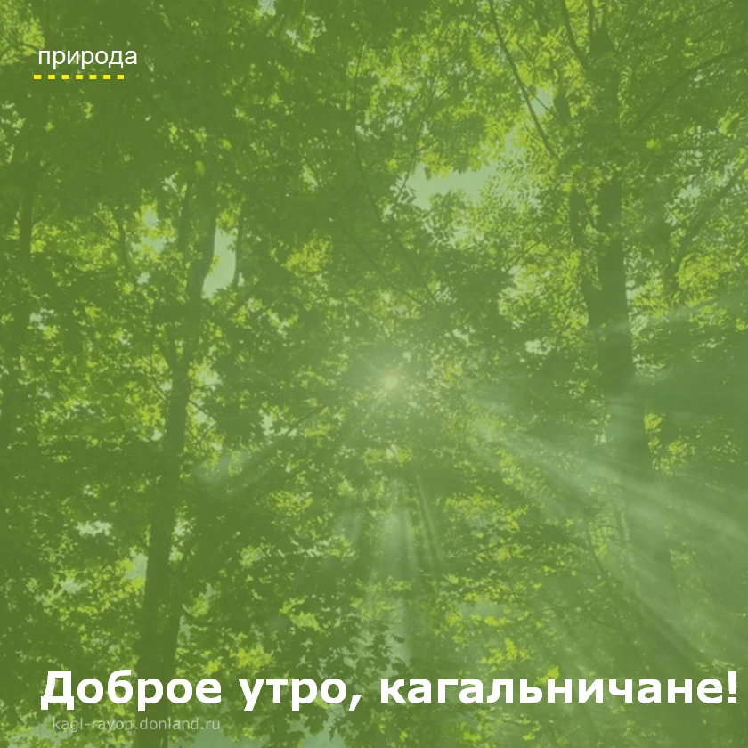 Доброе утро, кагальничане! Посмотрите, как прекрасен мир. 🌅