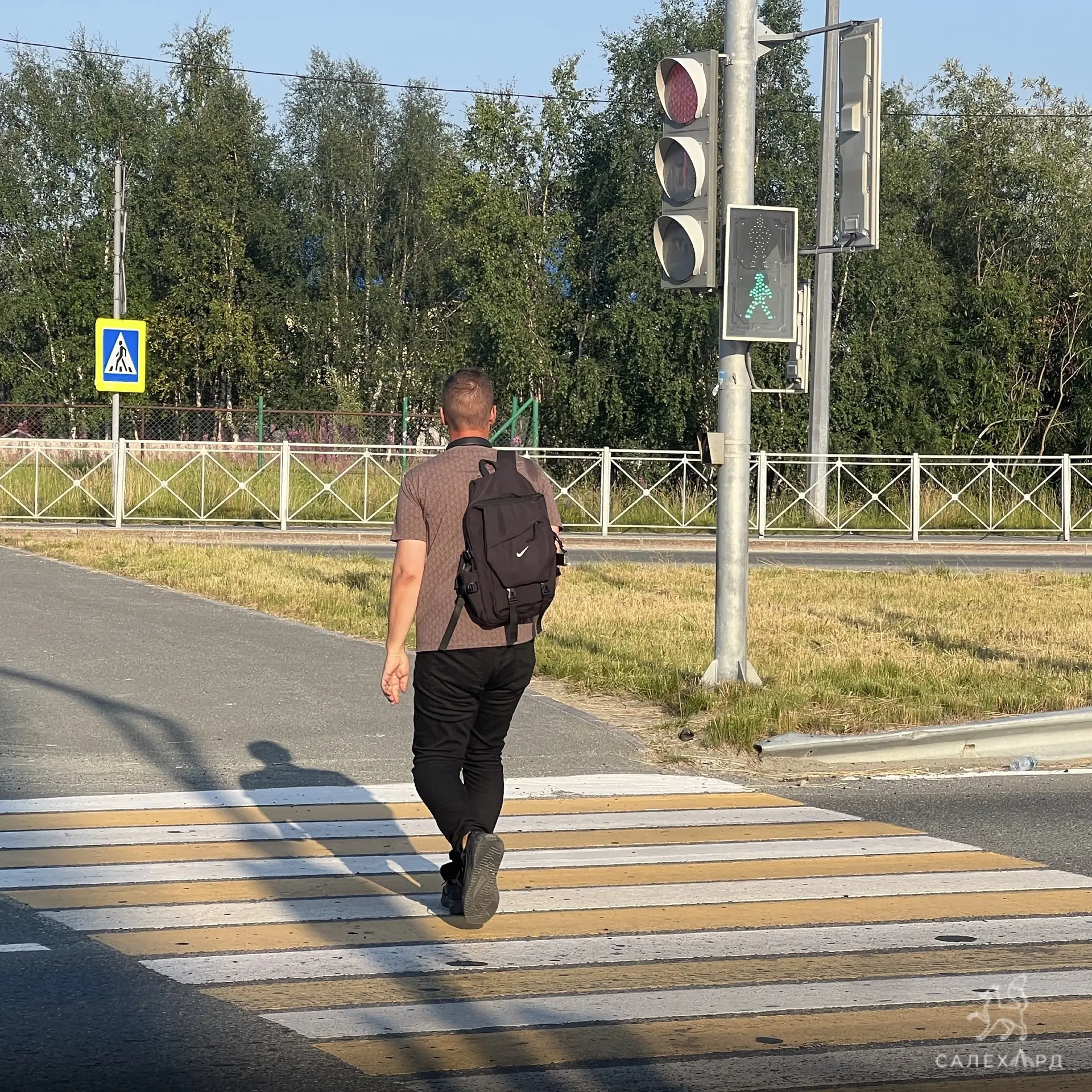 Три новых светофора для пешеходов появятся в Салехарде
 
В окружной столице планируют установить три