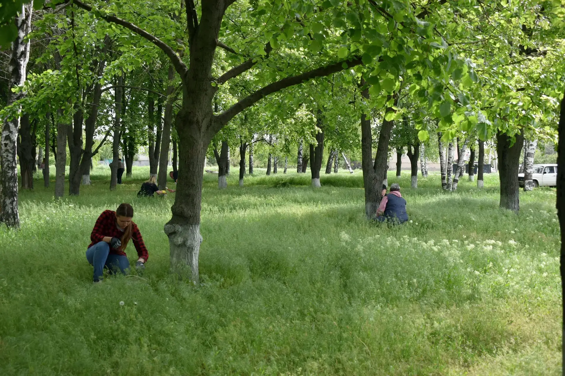🌿 На территории парка имени Комсомольцев прошёл масштабный субботник.  В нём приняли участие сотрудн