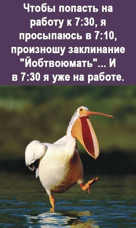 #доброеутро

Женское настроение💃