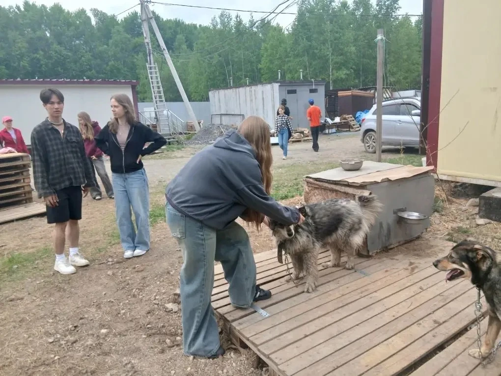 Лучший урок доброты прошел вне стен школы ❤️‍🩹  10 «Б» класс побывал в приюте «Ангел-хранитель». Вме