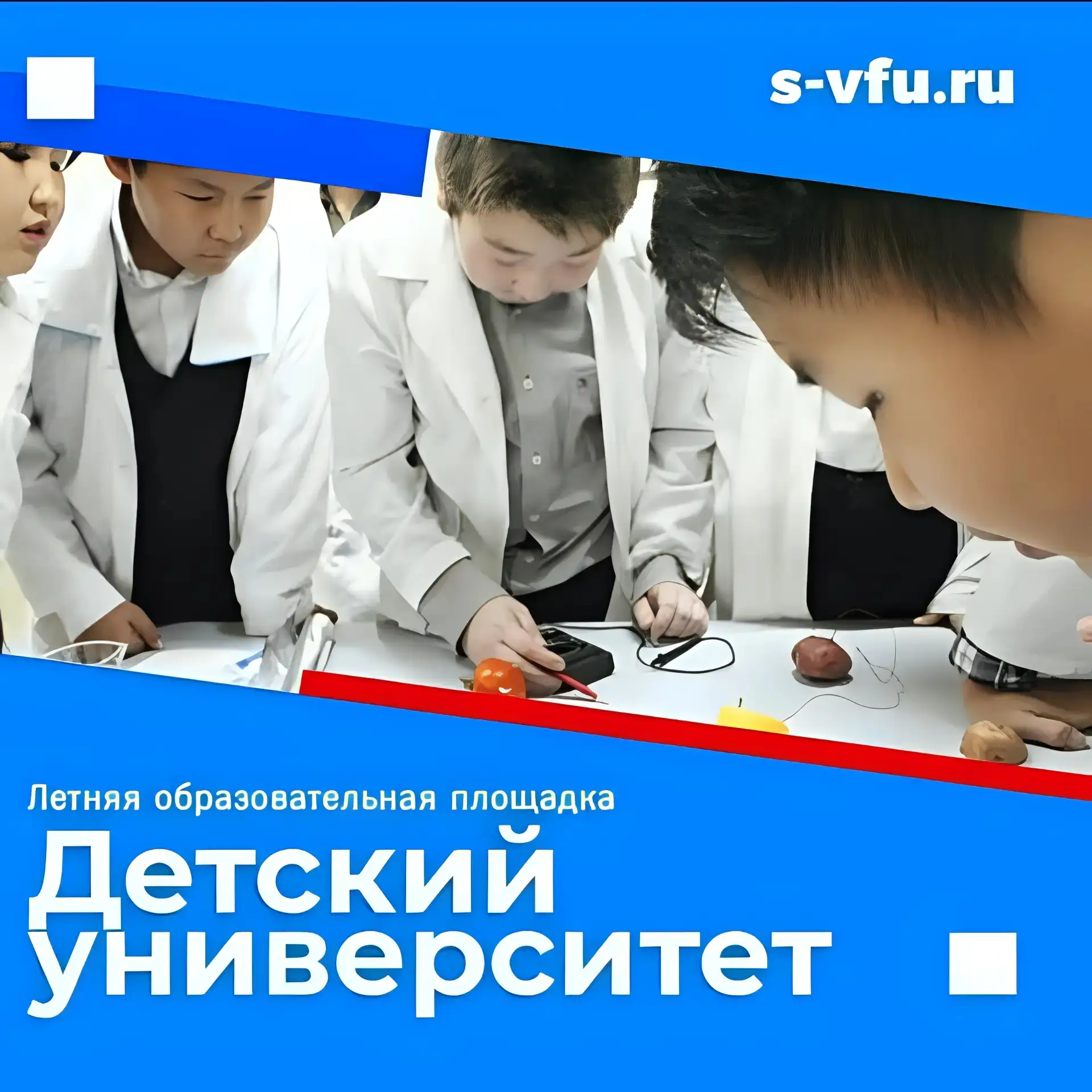 👋👋Дорогие друзья!