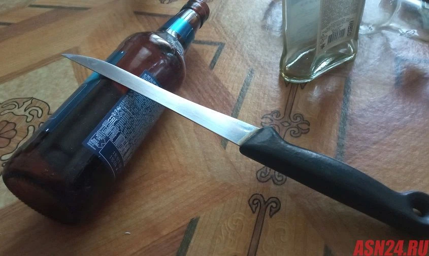 🔪 Амурчанин не захотел оставлять родственника и его друга одних в своем доме, поэтому ...