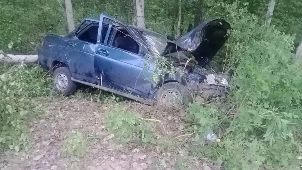 В Стрежевом 22-летний водитель погиб после столкновения с деревом. 

В Стрежевом вечером 11 июня про