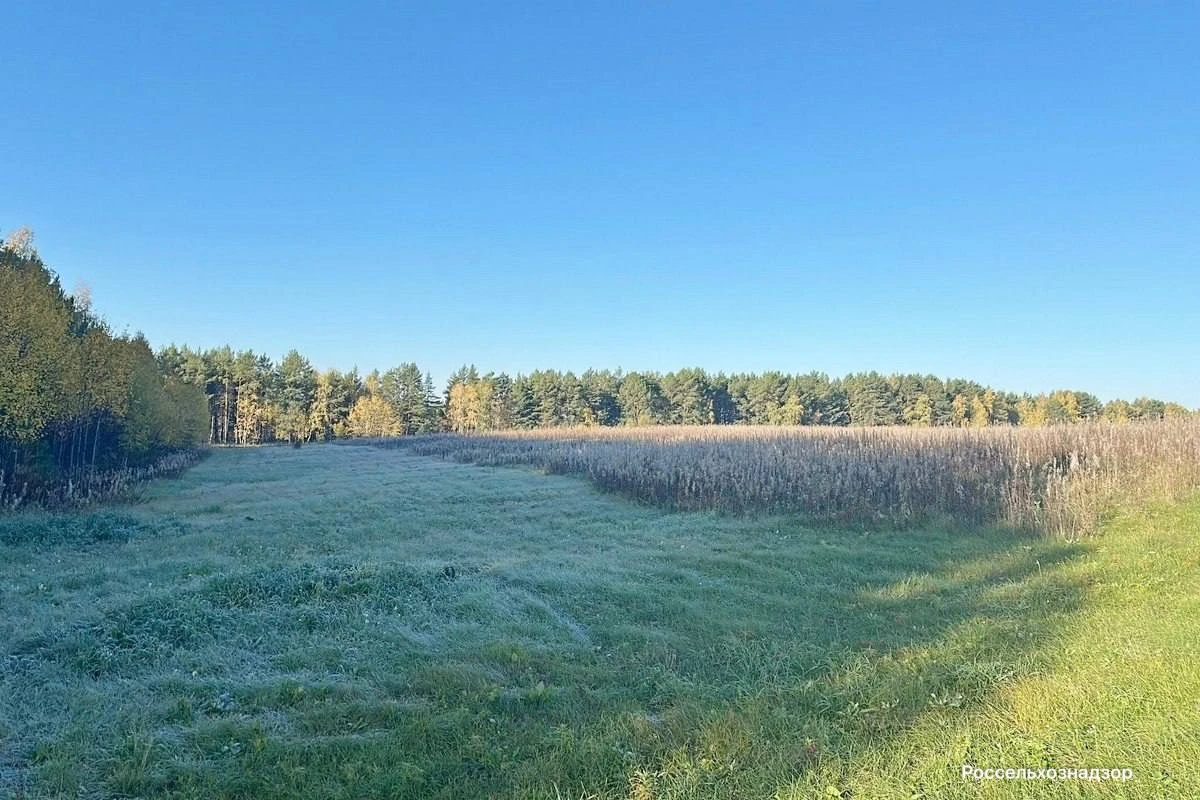 В Красноярском крае владельца земли заставили убрать свалку в 1,4 гектара через суд