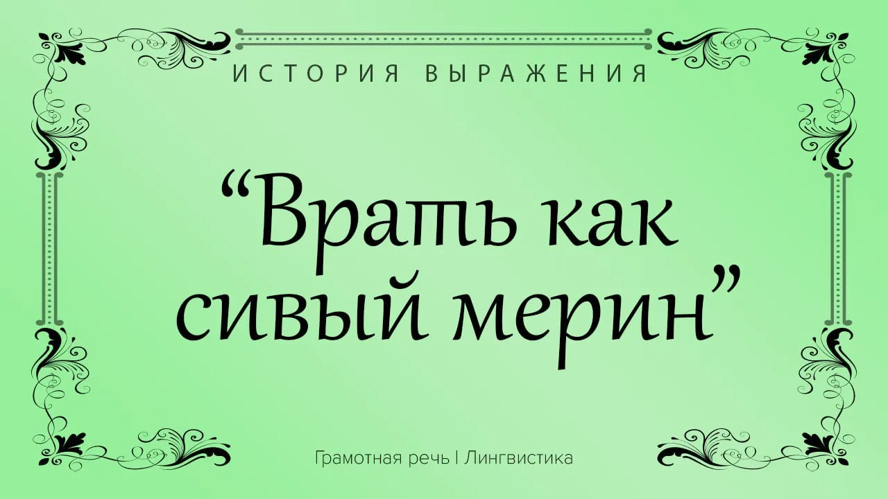 Беззастенчиво врать, нести всякий вздор.